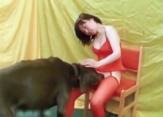 Asian ladies like this are enjoying bestial