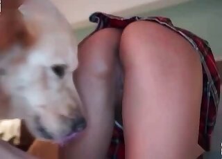 Chick licks the entire length of dog dick