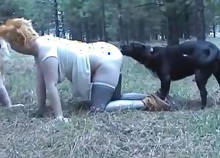 Couple of fat babes flock to animal cocks in 1080p