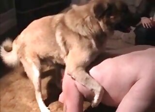 Dog gets to fuck that phat booty for the camera