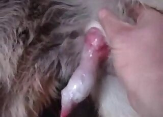 Horned-up dude enjoying hot sex in HD here