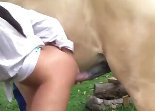 Gorgeous angel is enjoying hardcore horse porn