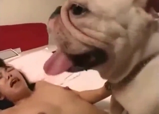 White dog is about to ravage a sexy Japanese gal