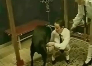 Zoo sex with a couple of schoolgirls who suck