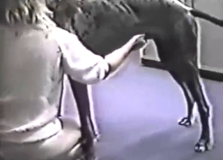 Good-looking blonde lady fucks her fave dog