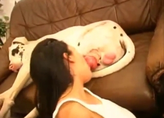 Hot dark-haired lady starts off with a blowjob