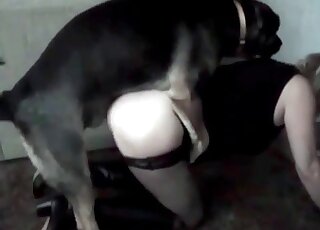 Blonde chick fucked by a mongrel