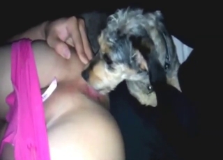 Hottie in pink gets licked by a sexy beast