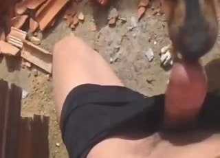 Dude gets his dick licked by a random dog