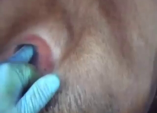Fingering featured in zoo porn with a sexy cow