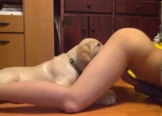 Asian girl with a sexy back licked by a mutt