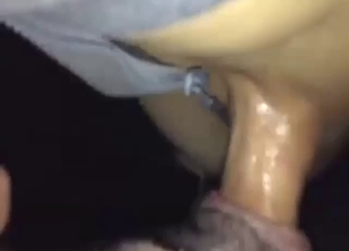 Nobena ženska se ne bo primerjala s prijemom te črne zveri