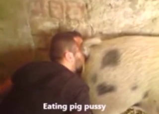 Guy wants to taste pig pussy on his nose too