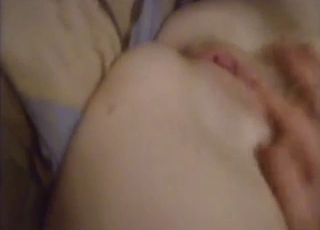 Dog is going to lick that pussy up close, personal