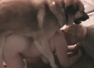 Busty BBW zoofil is enjoying dog bestiality