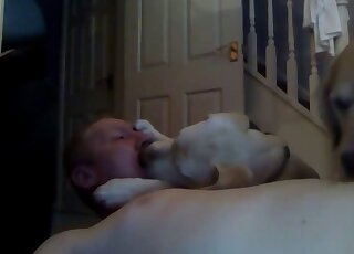 Chubby dude is left alone and he is having sex with a pup