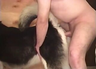 這隻漂亮的小狗正享受著無窮的樂趣