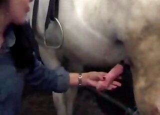 Creature gets a handjob from a horny brunette