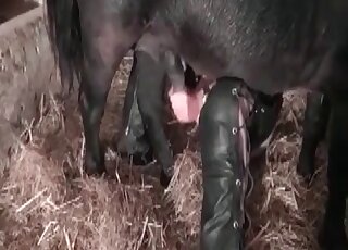 Farm-based zoophilic funsies with hot hoes in HD