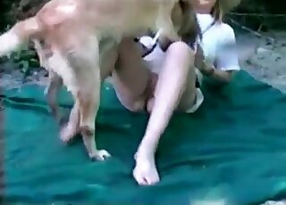 這隻變態動物正在享受近距離的性愛鏡頭